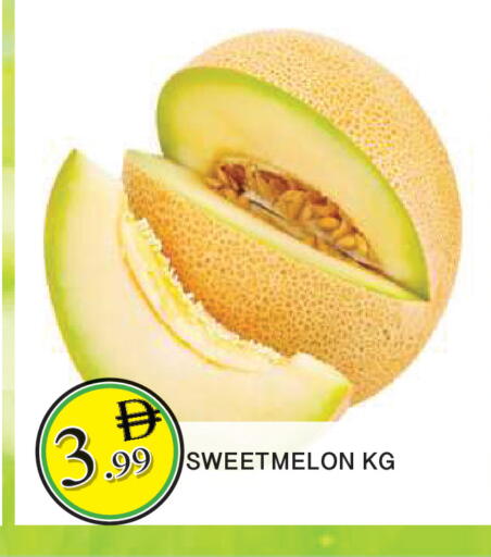 available at المدينة in الإمارات العربية المتحدة , الامارات - الشارقة / عجمان
