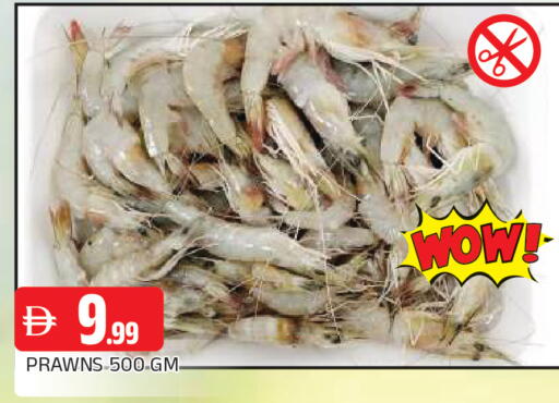 available at المدينة in الإمارات العربية المتحدة , الامارات - الشارقة / عجمان