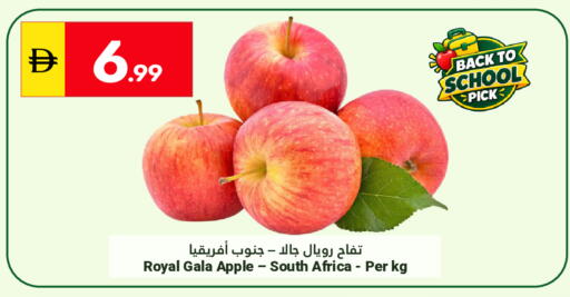 Apple from South Africa available at Grand Emirates Market in UAE - Abu Dhabi