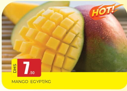 Mango from Egypt available at المدينة in الإمارات العربية المتحدة , الامارات - الشارقة / عجمان