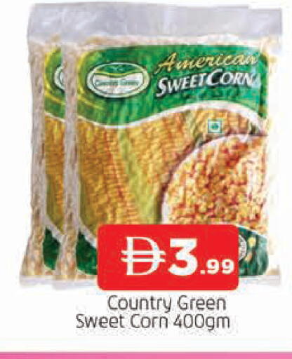 available at المدينة in الإمارات العربية المتحدة , الامارات - الشارقة / عجمان