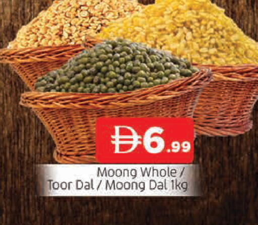 available at المدينة in الإمارات العربية المتحدة , الامارات - الشارقة / عجمان
