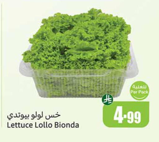 Lettuce available at أسواق عبد الله العثيم in مملكة العربية السعودية, السعودية, سعودية - تبوك