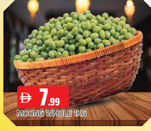available at المدينة in الإمارات العربية المتحدة , الامارات - الشارقة / عجمان