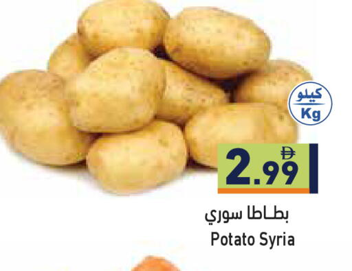 Potato from Syria available at أسواق رامز in الإمارات العربية المتحدة , الامارات - أبو ظبي