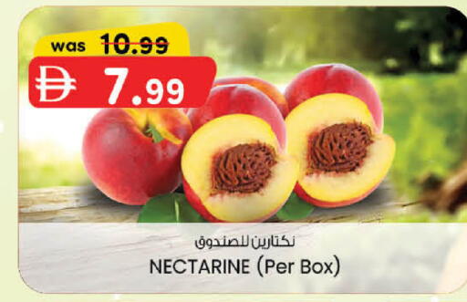 Nectarine available at ك. الم. للتجارة in الإمارات العربية المتحدة , الامارات - دبي