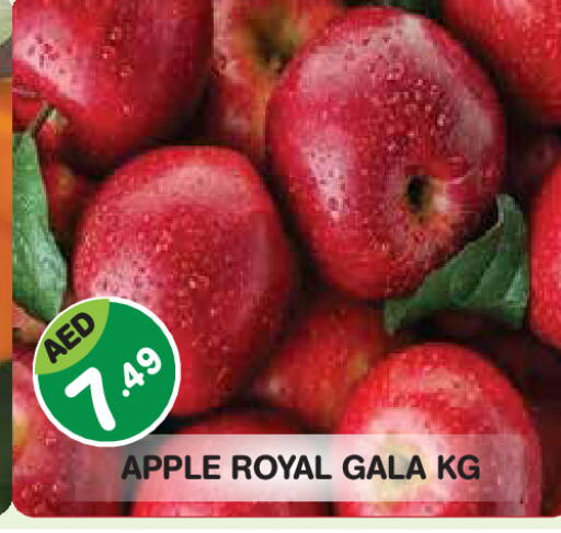 Apple available at Baniyas Spike  in UAE - Abu Dhabi