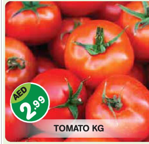 Tomato available at Baniyas Spike  in UAE - Abu Dhabi