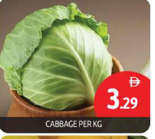 Cabbage available at BIGmart in UAE - Dubai