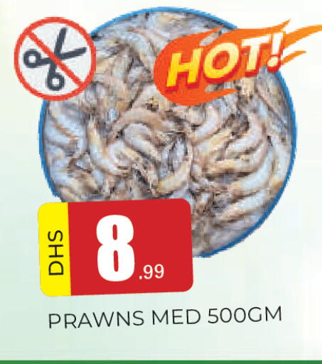 available at المدينة in الإمارات العربية المتحدة , الامارات - الشارقة / عجمان
