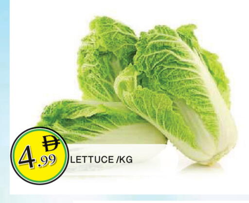 Lettuce available at المدينة in الإمارات العربية المتحدة , الامارات - الشارقة / عجمان