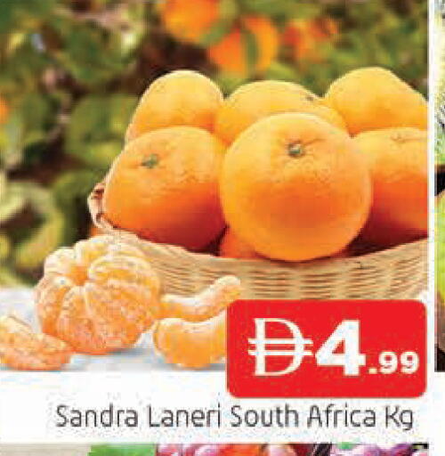 from South Africa available at المدينة in الإمارات العربية المتحدة , الامارات - الشارقة / عجمان