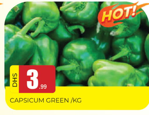 Capsicum available at المدينة in الإمارات العربية المتحدة , الامارات - الشارقة / عجمان