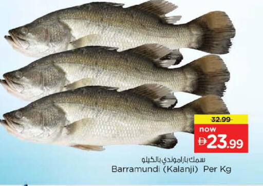 available at نستو هايبرماركت in الإمارات العربية المتحدة , الامارات - أبو ظبي
