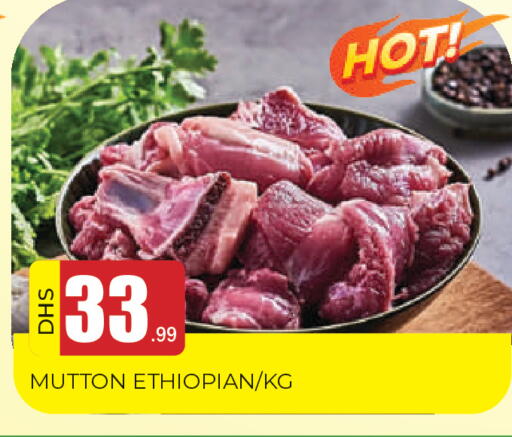 available at المدينة in الإمارات العربية المتحدة , الامارات - الشارقة / عجمان