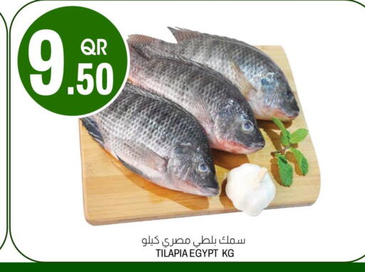 available at Aswaq Al Malaki Fresh in Qatar - Doha