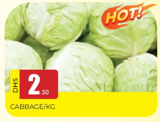 Cabbage available at المدينة in الإمارات العربية المتحدة , الامارات - الشارقة / عجمان