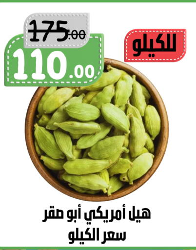available at بن جحلان - أمام مصلى العيد in مملكة العربية السعودية, السعودية, سعودية - تبوك
