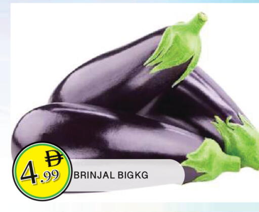 available at المدينة in الإمارات العربية المتحدة , الامارات - الشارقة / عجمان