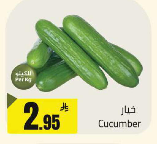 Cucumber available at Hypermarket Stor in KSA, Saudi Arabia, Saudi - Buraidah
