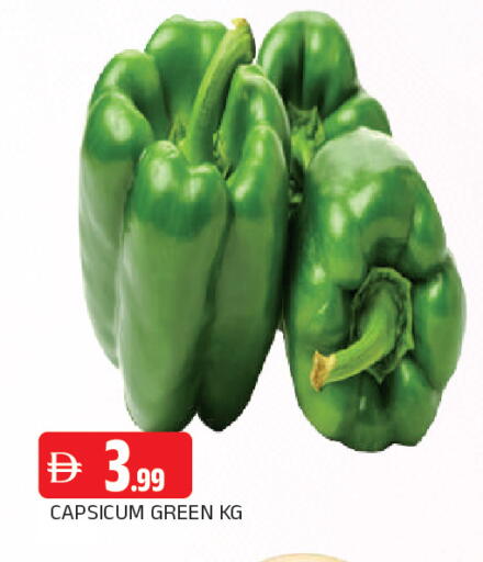 Capsicum available at المدينة in الإمارات العربية المتحدة , الامارات - الشارقة / عجمان