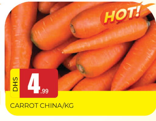 Carrot from China available at المدينة in الإمارات العربية المتحدة , الامارات - الشارقة / عجمان