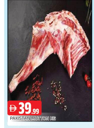 available at المدينة in الإمارات العربية المتحدة , الامارات - الشارقة / عجمان