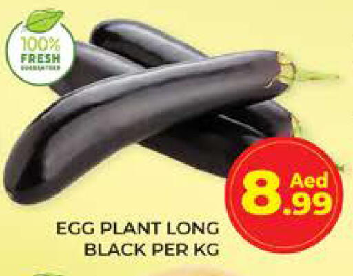 available at الامارات السبع سوبر ماركت in الإمارات العربية المتحدة , الامارات - أبو ظبي