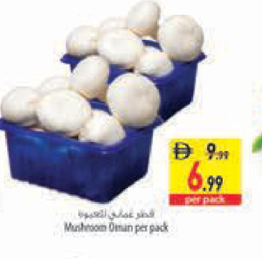 Mushroom from Oman available at Safeer Market in UAE - Abu Dhabi