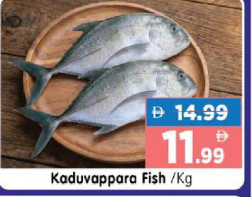 available at هايبر ماركت المدينة in الإمارات العربية المتحدة , الامارات - أبو ظبي