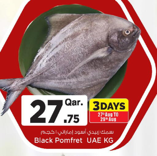 available at مارك & سيف in قطر - الضعاين