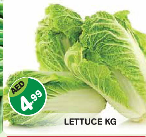 Lettuce available at Baniyas Spike  in UAE - Abu Dhabi