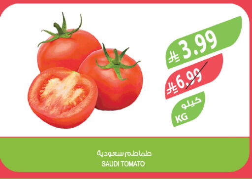 Tomato from Saudi Arabia available at Farm  in KSA, Saudi Arabia, Saudi - Al-Kharj