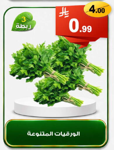 available at المتسوق الذكى in مملكة العربية السعودية, السعودية, سعودية - خميس مشيط