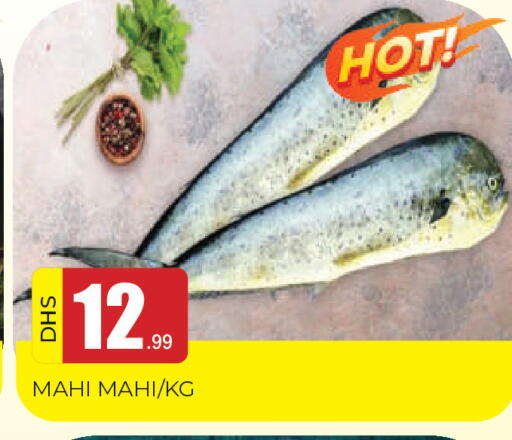 available at المدينة in الإمارات العربية المتحدة , الامارات - الشارقة / عجمان