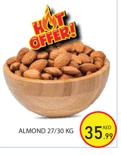available at Baniyas Spike  in UAE - Abu Dhabi