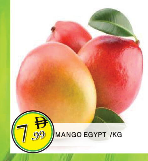 Mango from Egypt available at المدينة in الإمارات العربية المتحدة , الامارات - الشارقة / عجمان