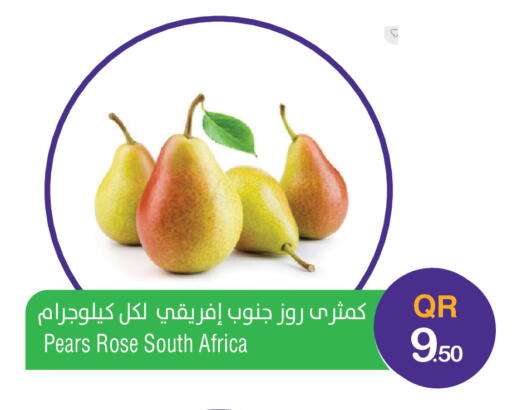 from South Africa available at ميغا مارت in قطر - الخور