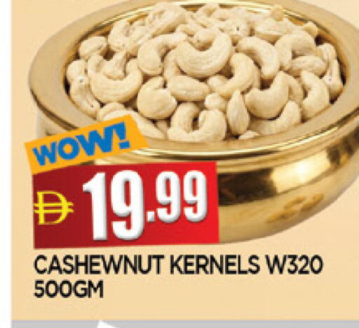 available at المدينة in الإمارات العربية المتحدة , الامارات - الشارقة / عجمان