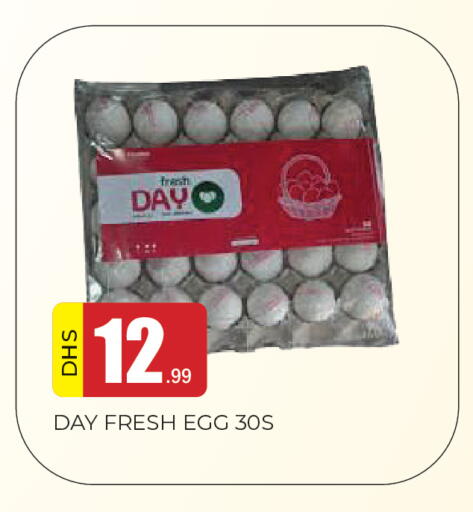 available at المدينة in الإمارات العربية المتحدة , الامارات - الشارقة / عجمان