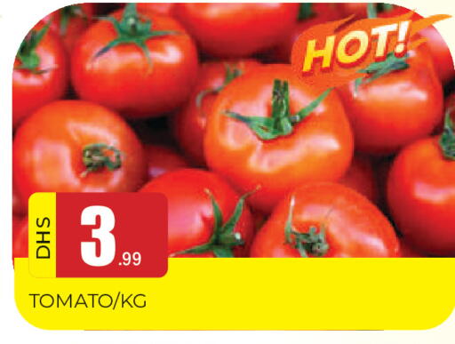 Tomato available at المدينة in الإمارات العربية المتحدة , الامارات - الشارقة / عجمان