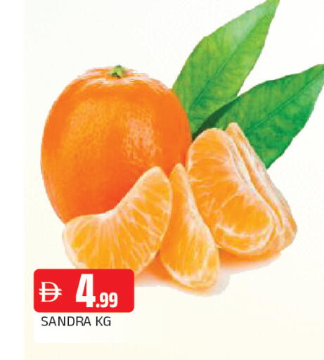 available at المدينة in الإمارات العربية المتحدة , الامارات - الشارقة / عجمان