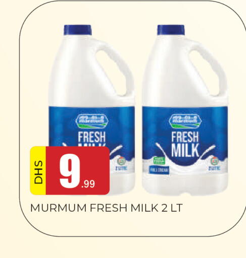available at المدينة in الإمارات العربية المتحدة , الامارات - الشارقة / عجمان