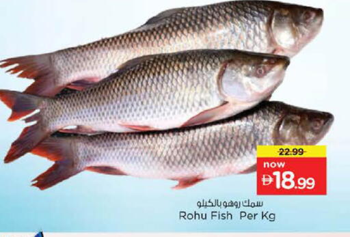available at Nesto Hypermarket in UAE - Dubai