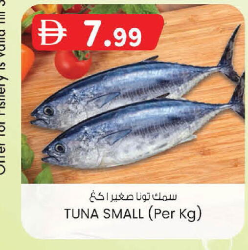 available at ك. إم. هايبرماركت in الإمارات العربية المتحدة , الامارات - أبو ظبي