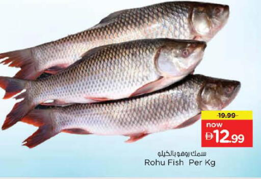 available at Nesto Hypermarket in UAE - Abu Dhabi