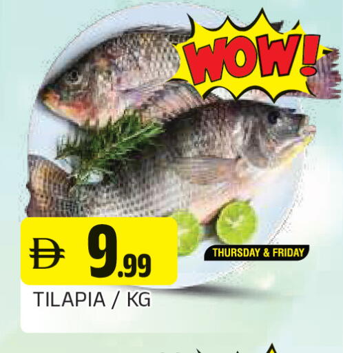 available at المدينة in الإمارات العربية المتحدة , الامارات - الشارقة / عجمان