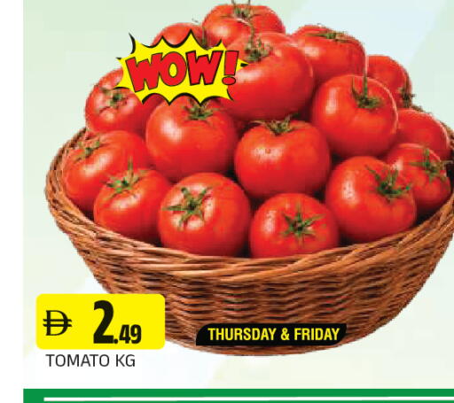 Tomato available at المدينة in الإمارات العربية المتحدة , الامارات - الشارقة / عجمان