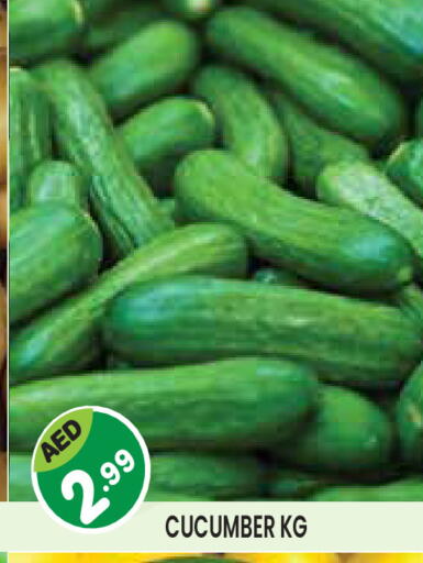 Cucumber available at Baniyas Spike  in UAE - Abu Dhabi
