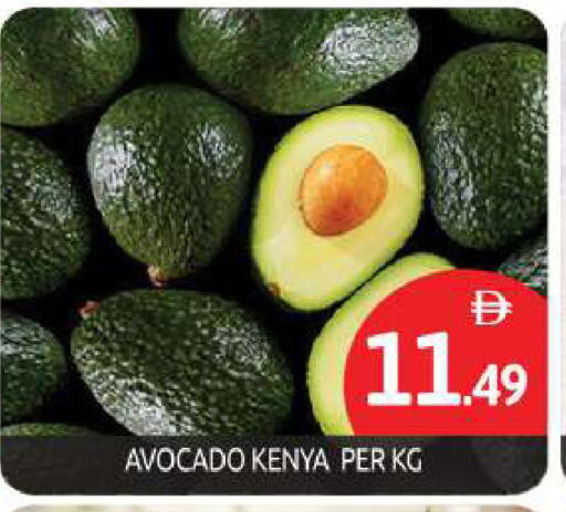 Avocado from Kenya available at BIGmart in UAE - Dubai